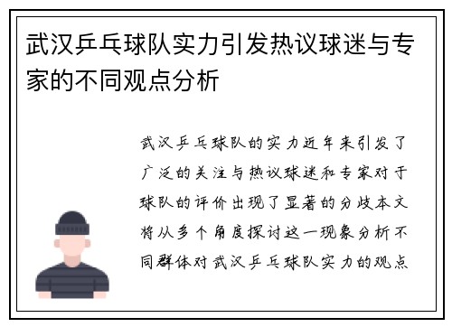武汉乒乓球队实力引发热议球迷与专家的不同观点分析